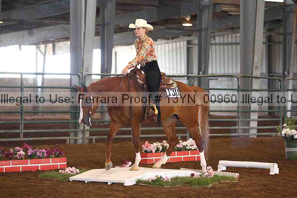 Proof 13yn_00960
