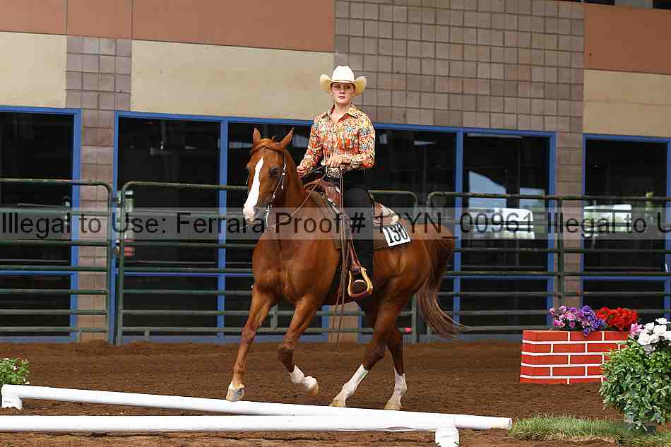 Proof 13yn_00961