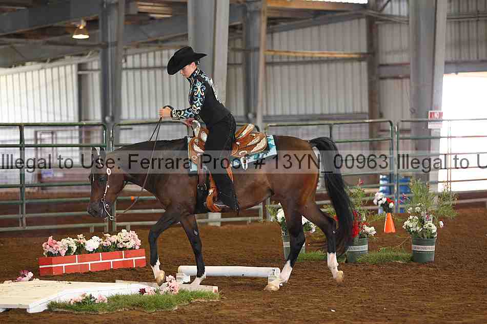 Proof 13yn_00963