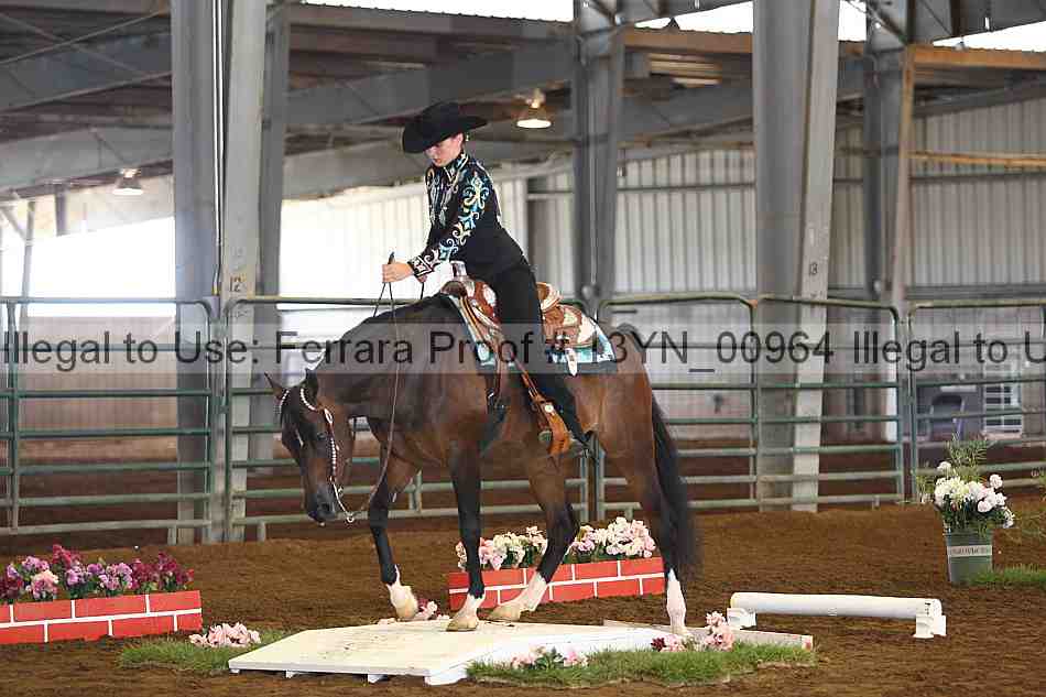 Proof 13yn_00964