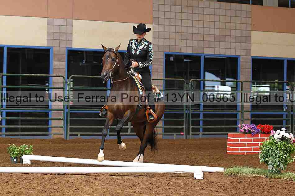 Proof 13yn_00965