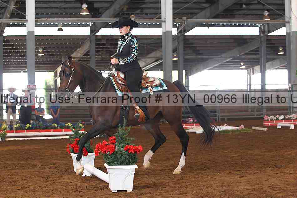 Proof 13yn_00966