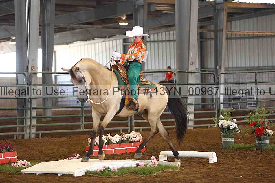 Proof 13yn_00967