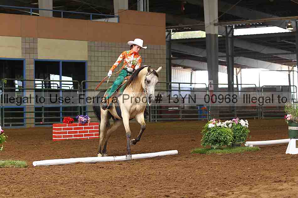 Proof 13yn_00968