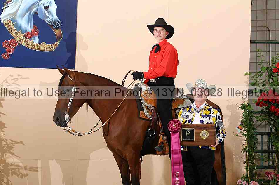 Proof 13yn_03028