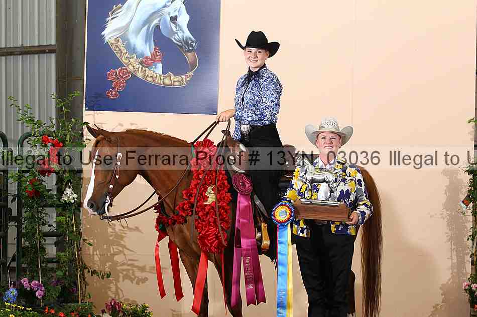 Proof 13yn_03036
