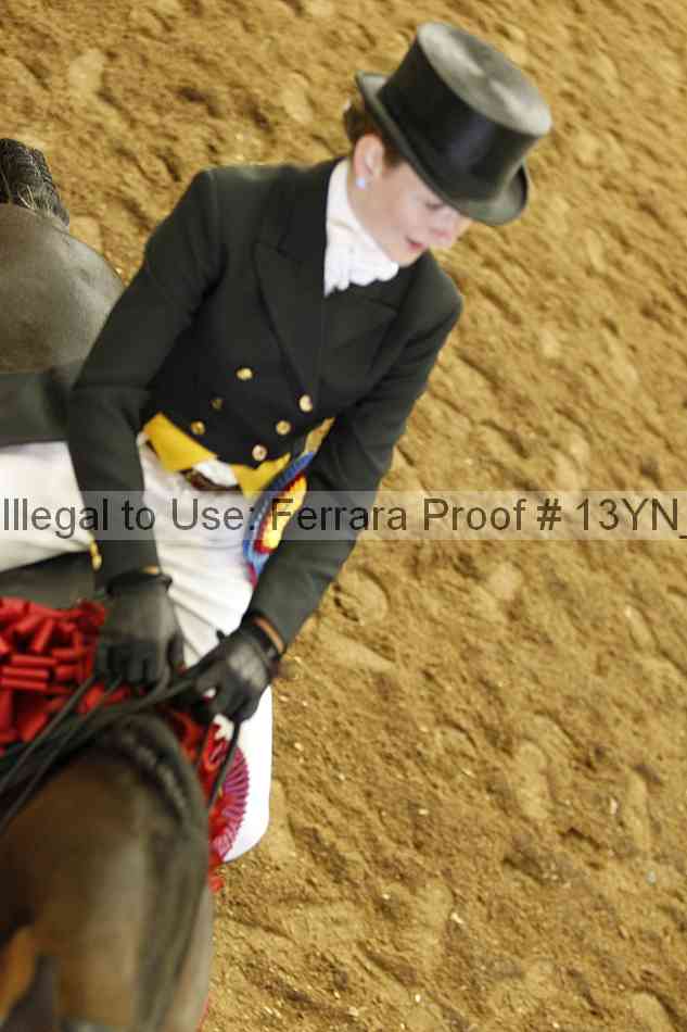 Proof 13yn_25091