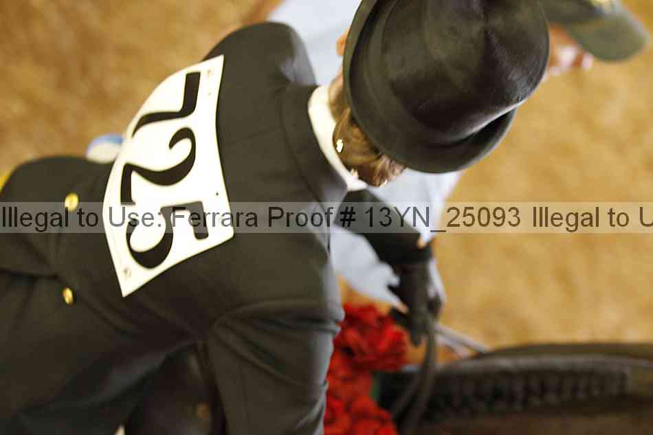 Proof 13yn_25093