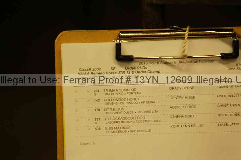 Proof 13yn_12609