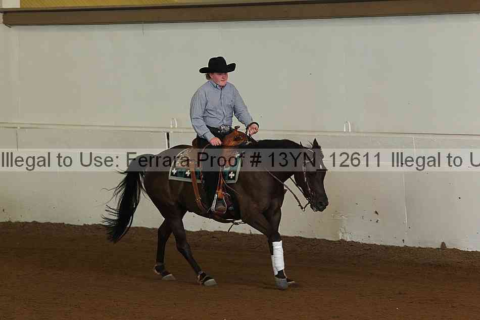 Proof 13yn_12611