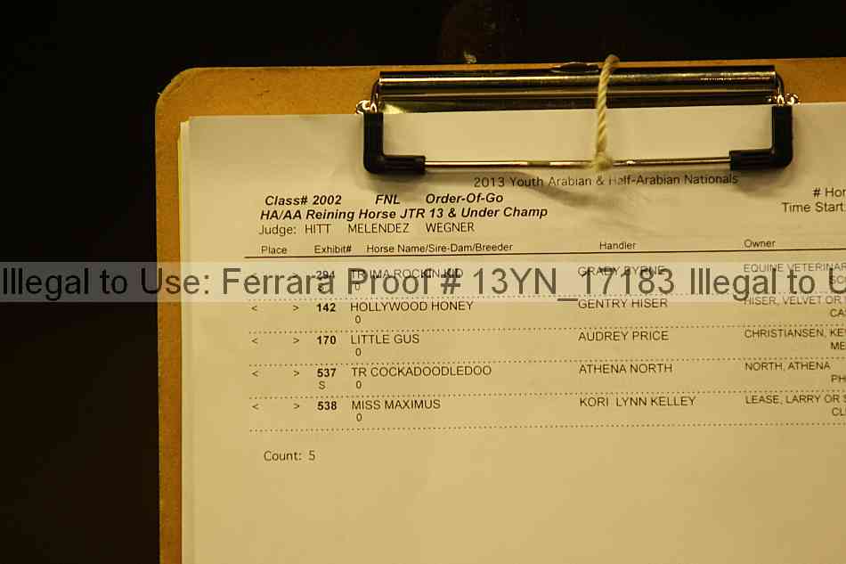 Proof 13yn_17183