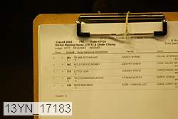 13yn_17183 proof