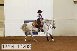 13yn_17208 proof