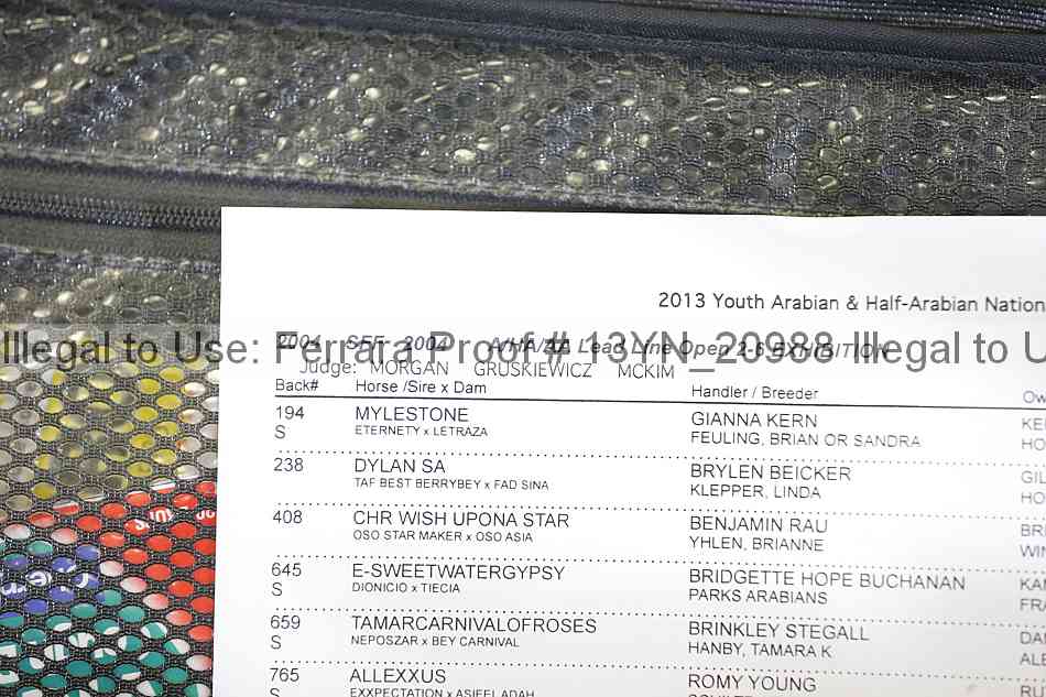 Proof 13yn_20988