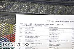13yn_20988 proof