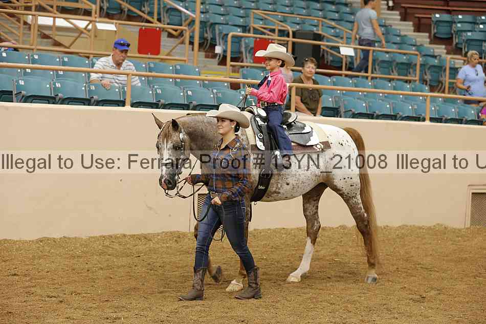 Proof 13yn_21008