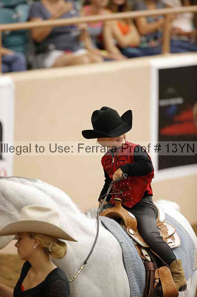 Proof 13yn_21053