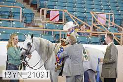 13yn_21091 proof