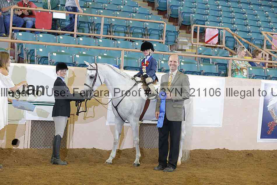 Proof 13yn_21106