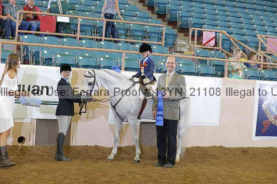Proof 13yn_21108