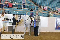 13yn_21108 proof