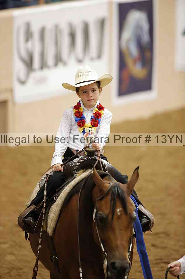 Proof 13yn_21142