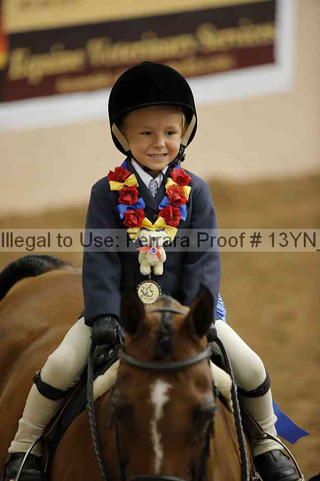 Proof 13yn_21160