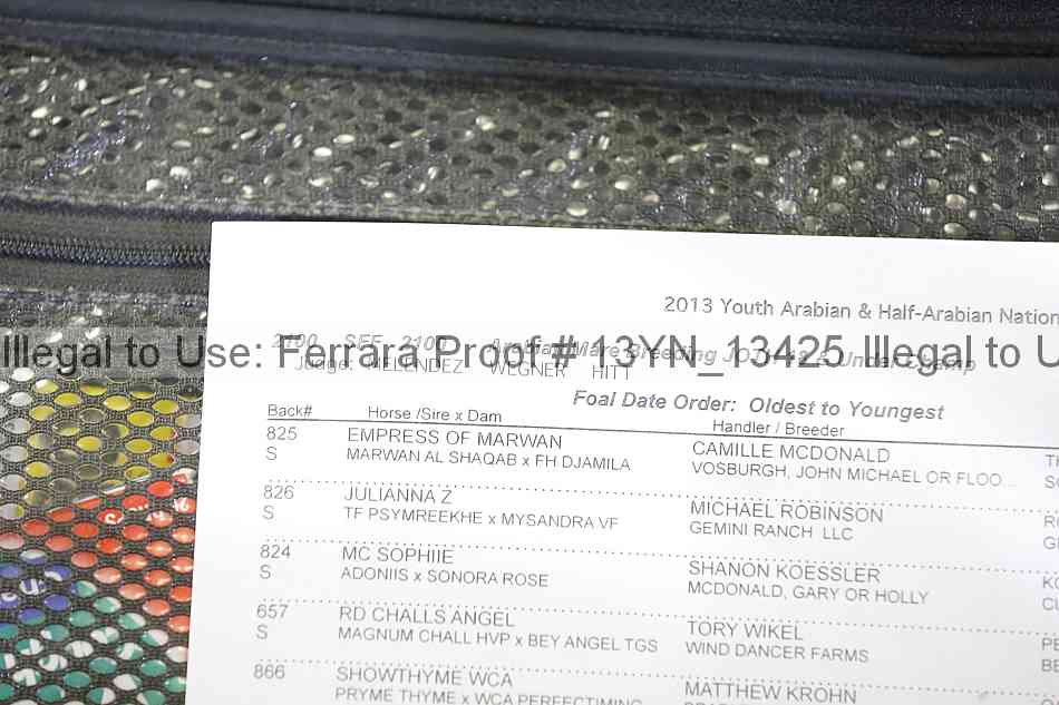 Proof 13yn_13425