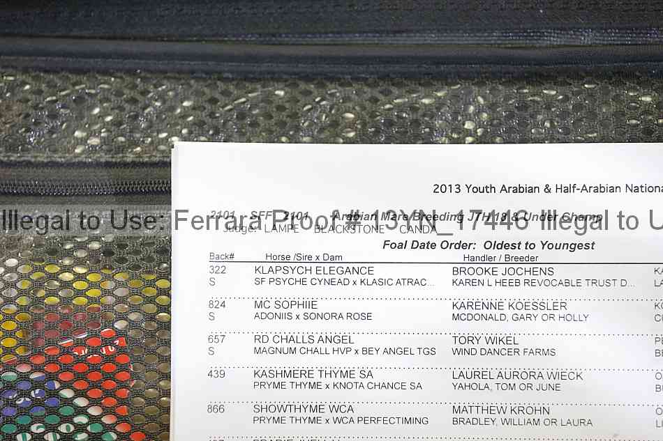 Proof 13yn_17446