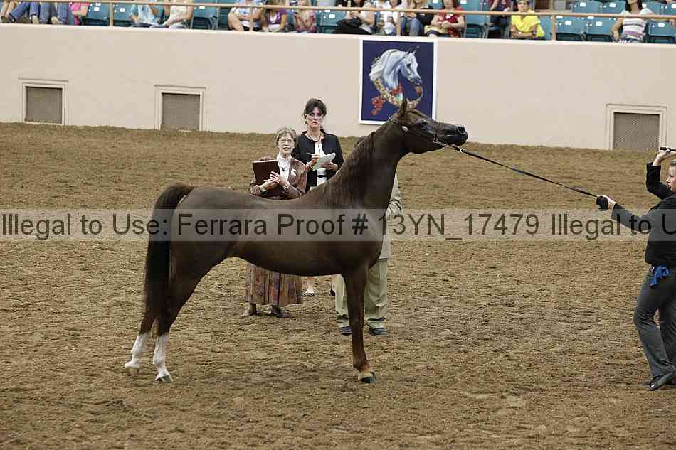 Proof 13yn_17479