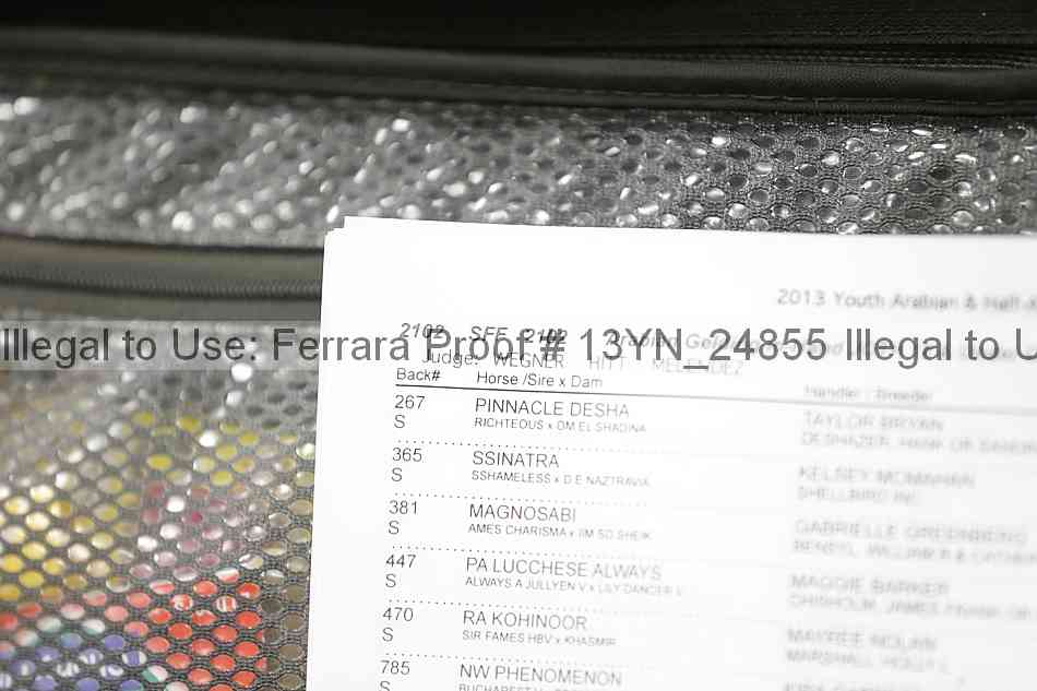 Proof 13yn_24855