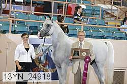 13yn_24918 proof