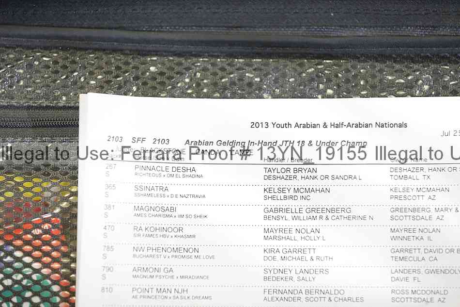 Proof 13yn_19155