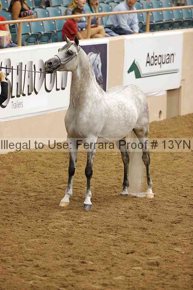 Proof 13yn_19202