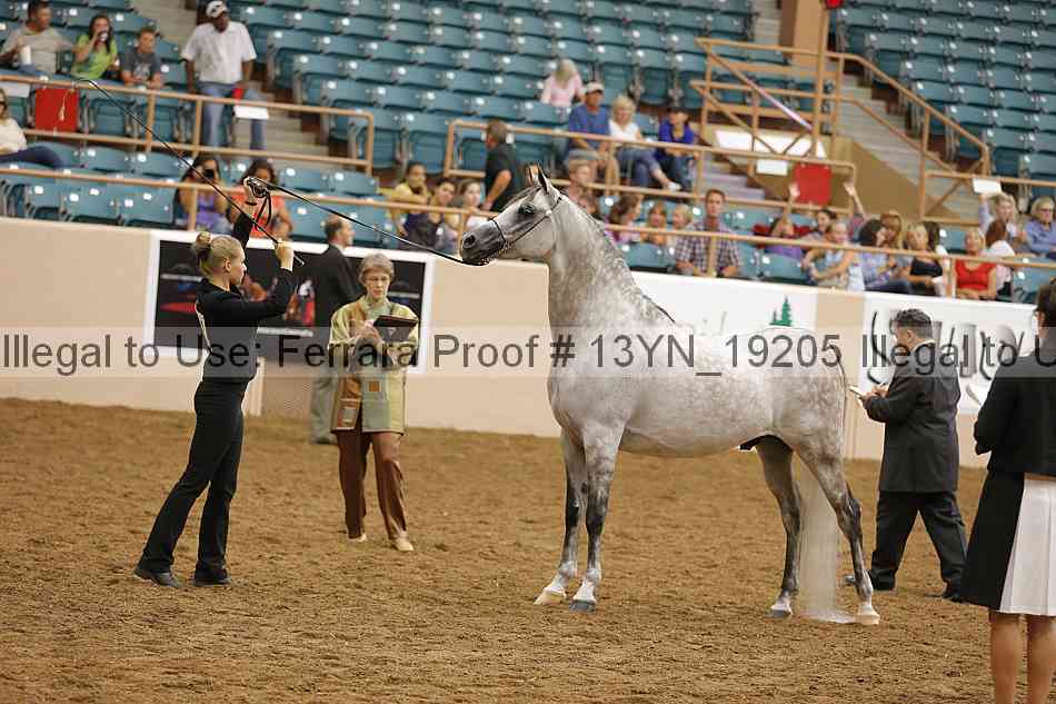 Proof 13yn_19205