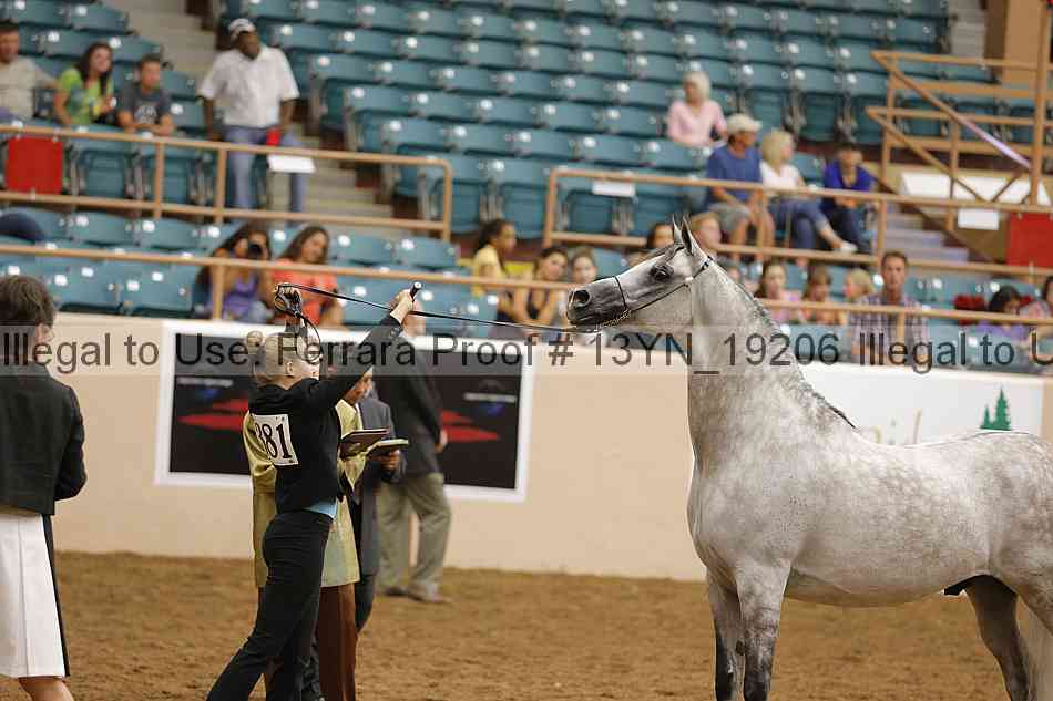 Proof 13yn_19206