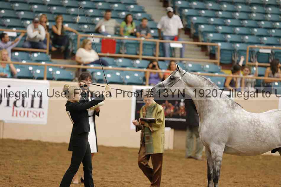 Proof 13yn_19207