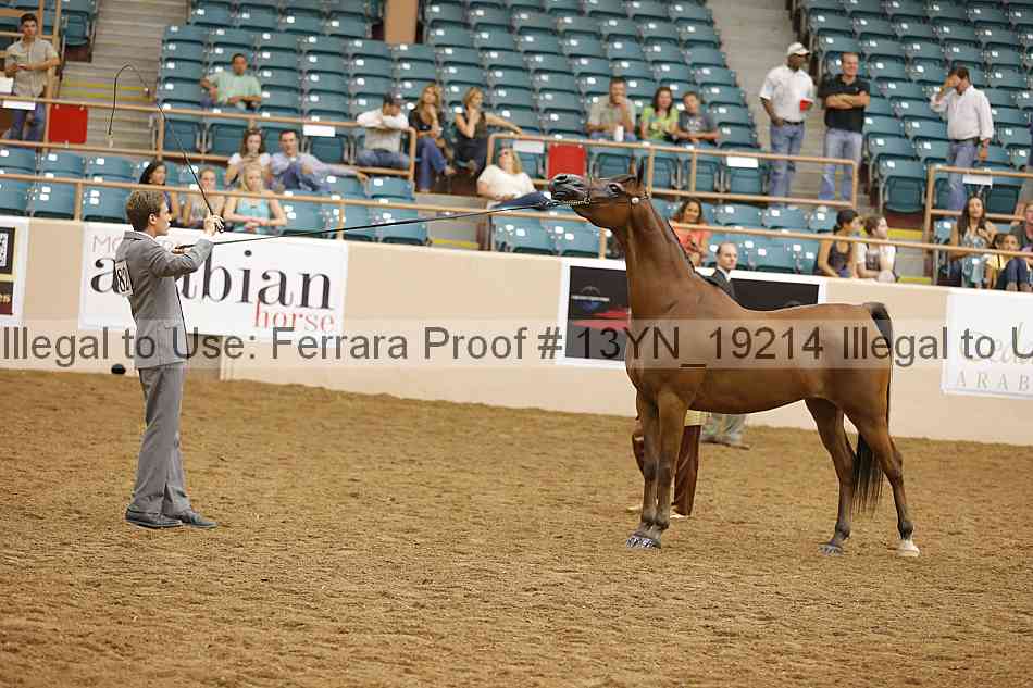 Proof 13yn_19214
