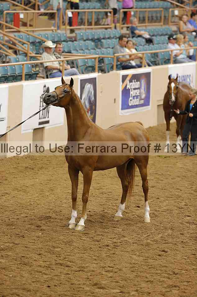 Proof 13yn_19227