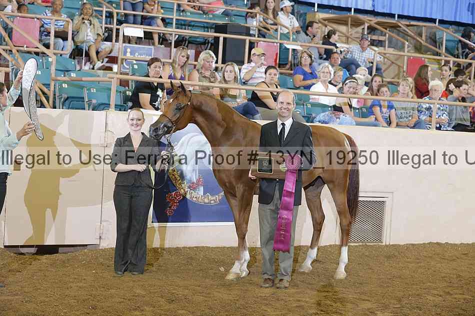 Proof 13yn_19250