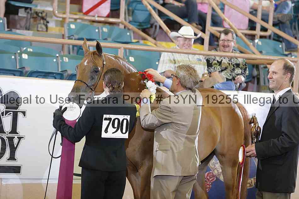 Proof 13yn_19255