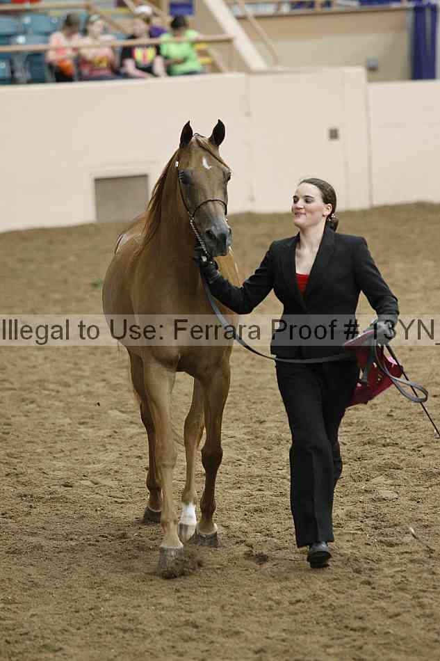 Proof 13yn_19256