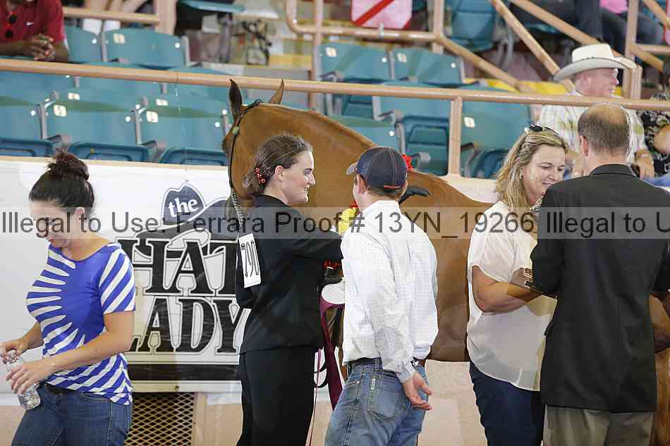 Proof 13yn_19266