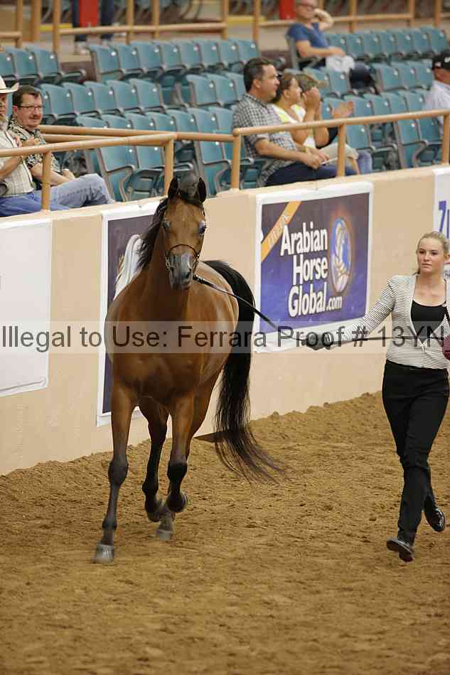 Proof 13yn_19301