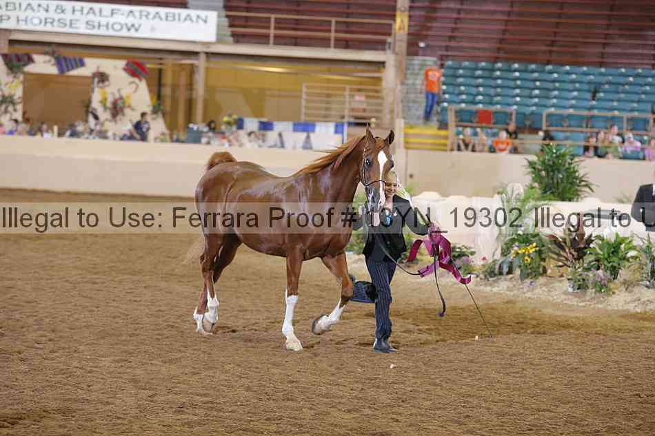 Proof 13yn_19302