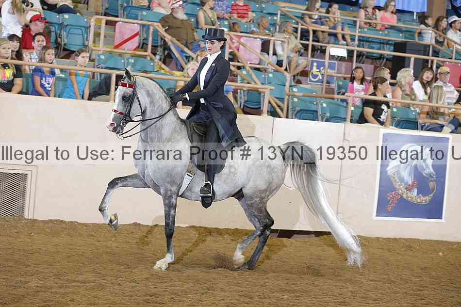 Proof 13yn_19350