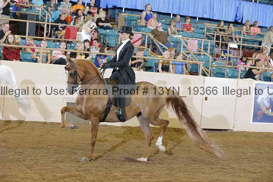 Proof 13yn_19366