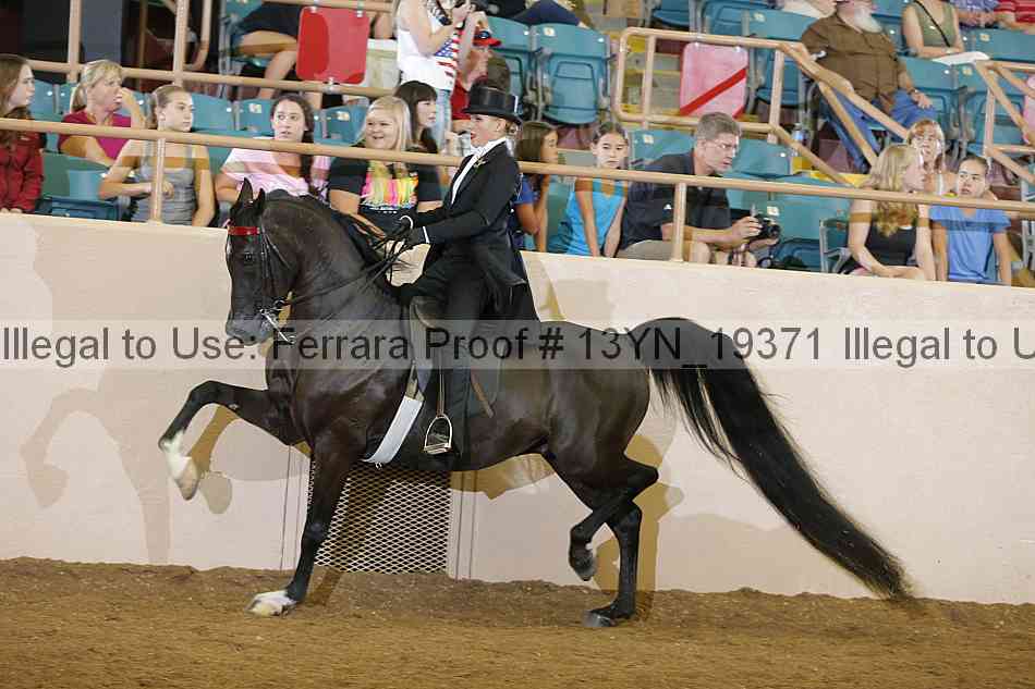 Proof 13yn_19371