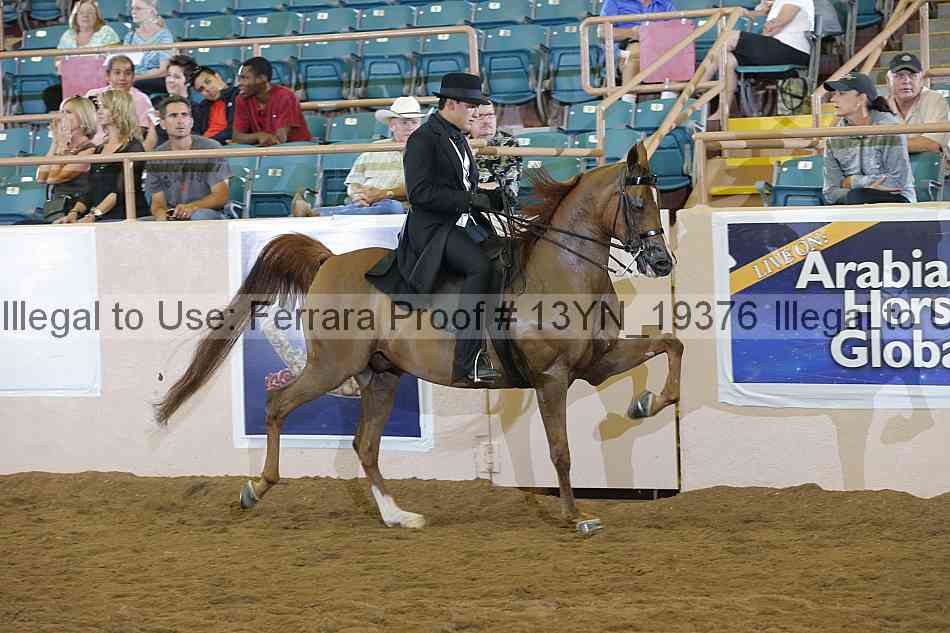 Proof 13yn_19376