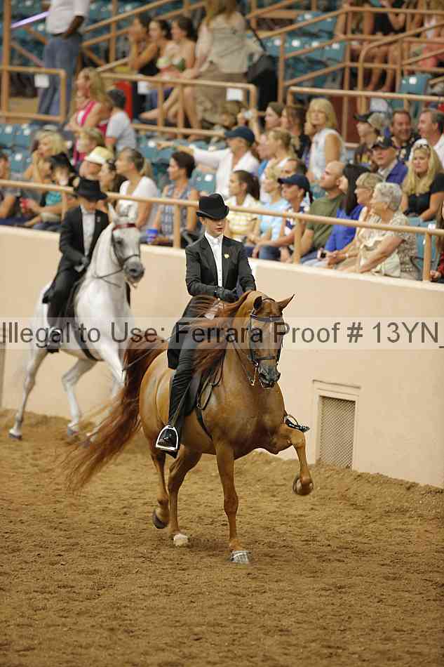 Proof 13yn_19390